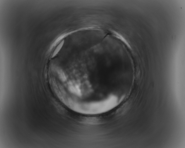 X0000083021455200703021952