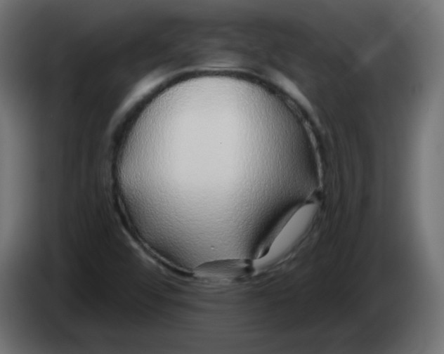X0000083021456200703021952