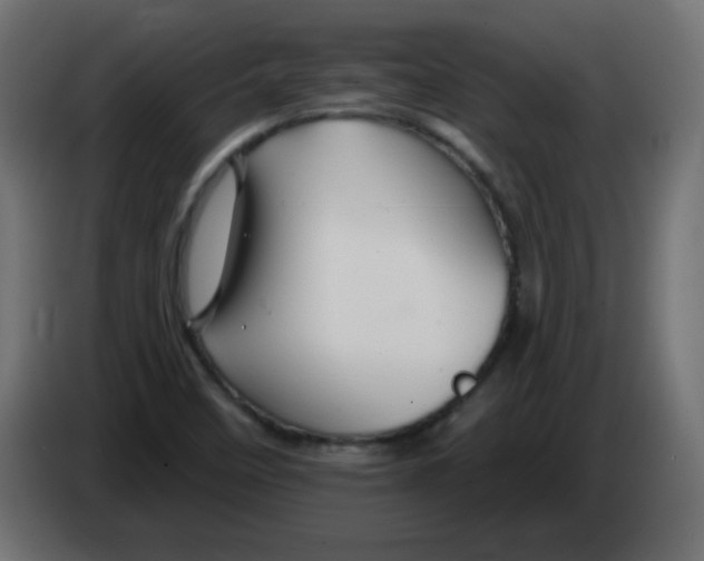 X0000083021458200703021952
