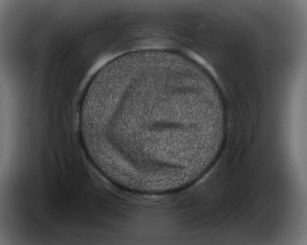 X0000083021459200703021952