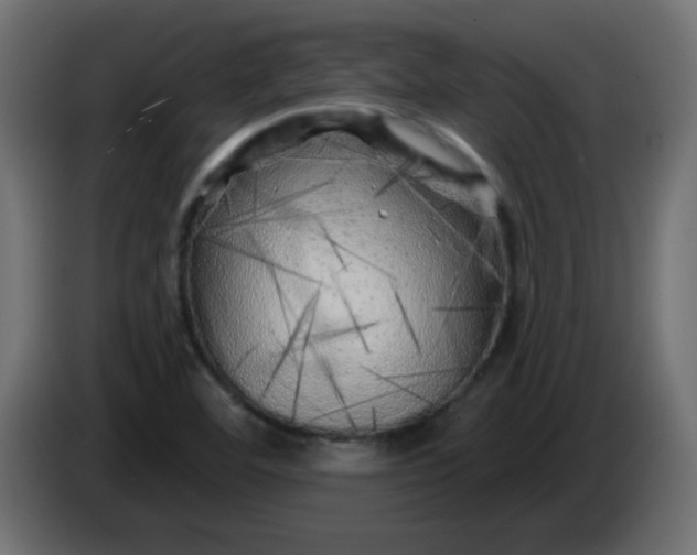 X0000083021460200703021952