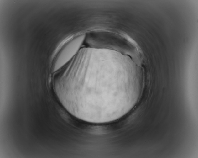 X0000083021461200703021952