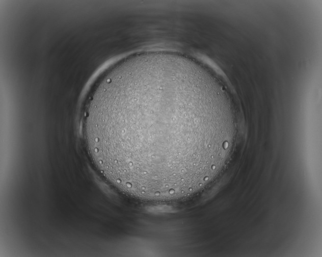 X0000083021462200703021952