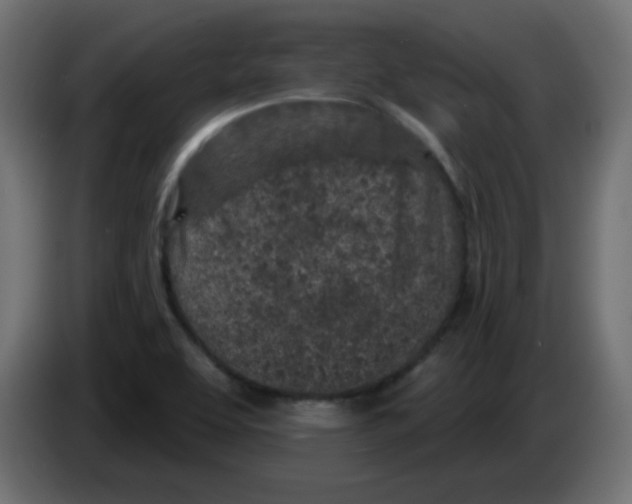 X0000083021463200703021952