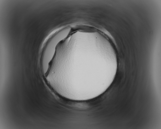 X0000083021464200703021952
