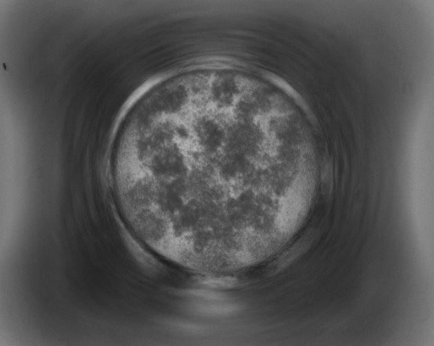 X0000083021466200703021952