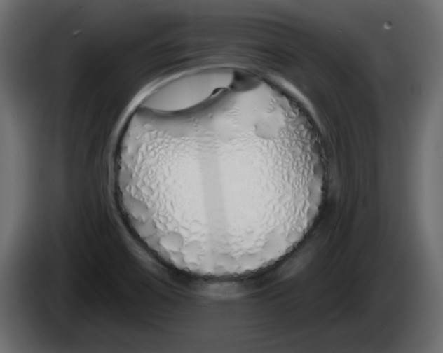 X0000083021467200703021952