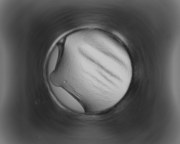 X0000083021468200703021952