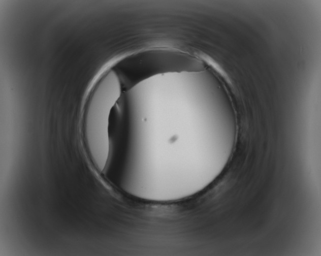 X0000083021469200703021952