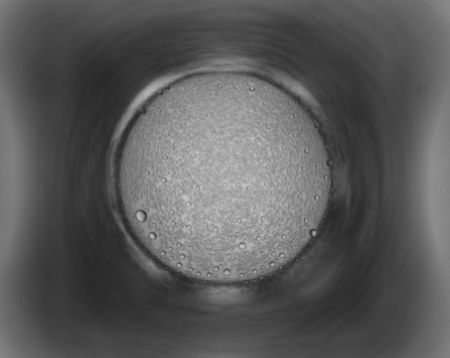 X0000083021470200703021952