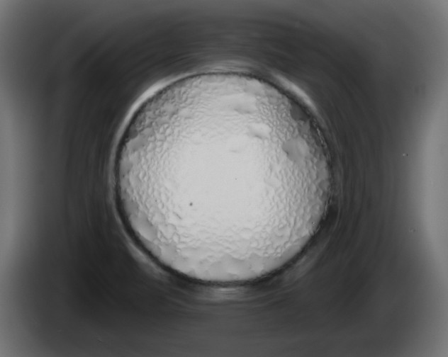 X0000083021471200703021952