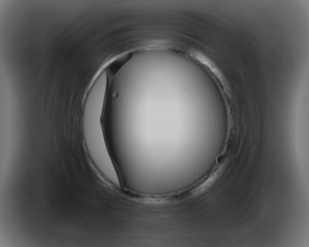 X0000083021473200703021952