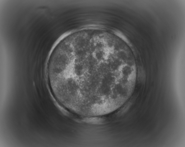 X0000083021474200703021952