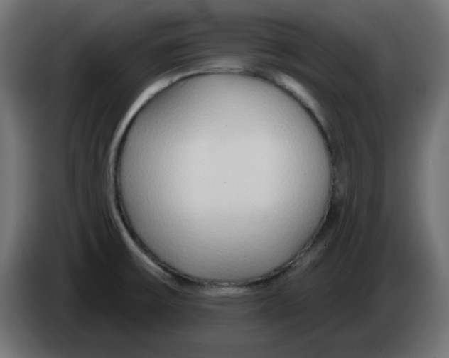 X0000083021475200703021952