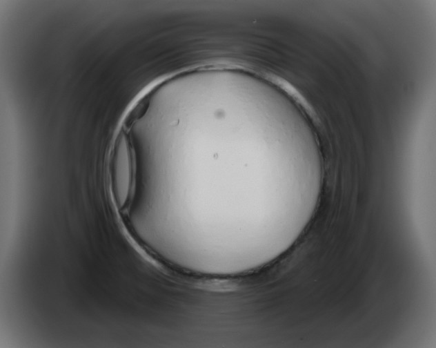 X0000083021476200703021952
