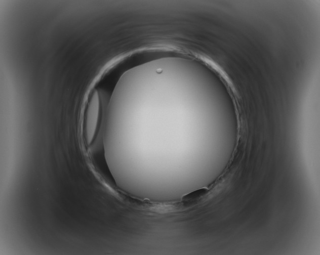 X0000083021477200703021952