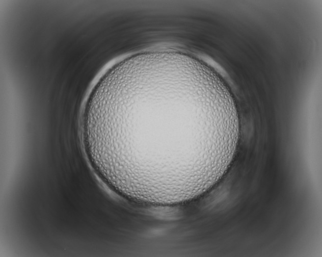 X0000083021478200703021952