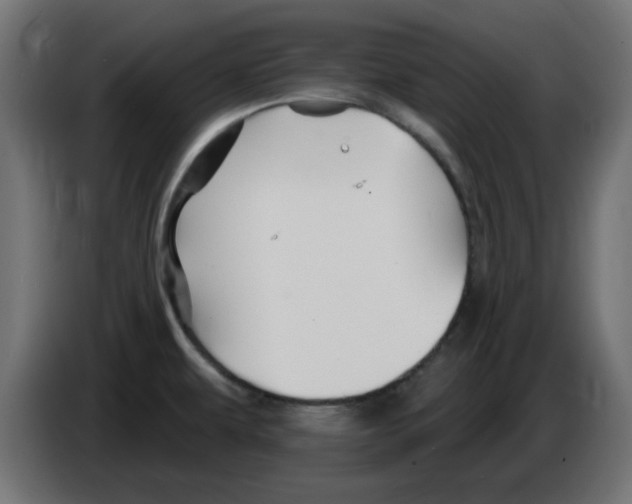 X0000083021479200703021952