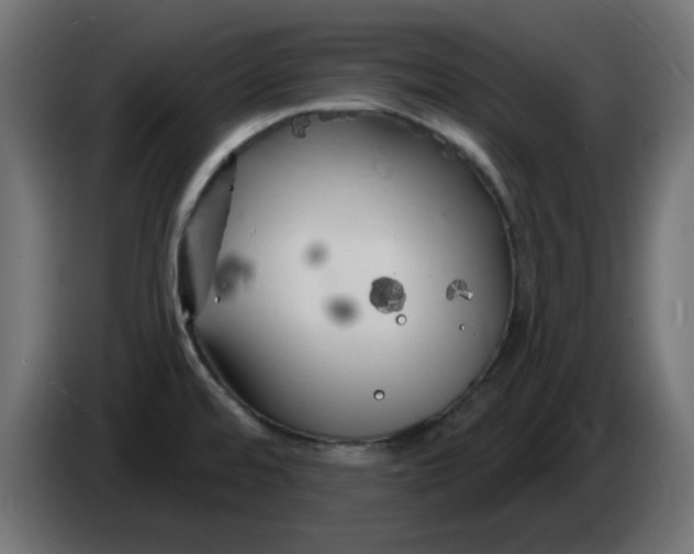 X0000083021480200703021952