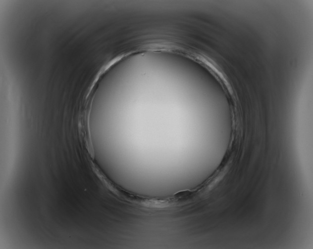 X0000083021481200703021952