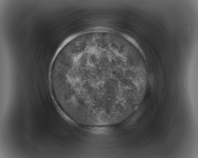 X0000083021482200703021951