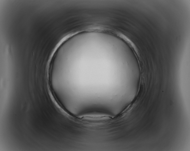 X0000083021483200703021951