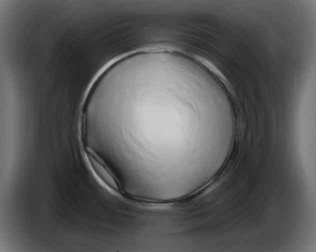 X0000083021484200703021951