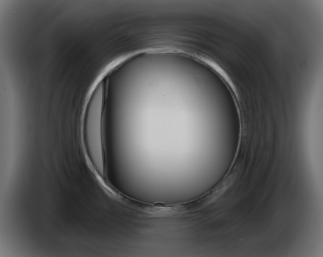 X0000083021485200703021951