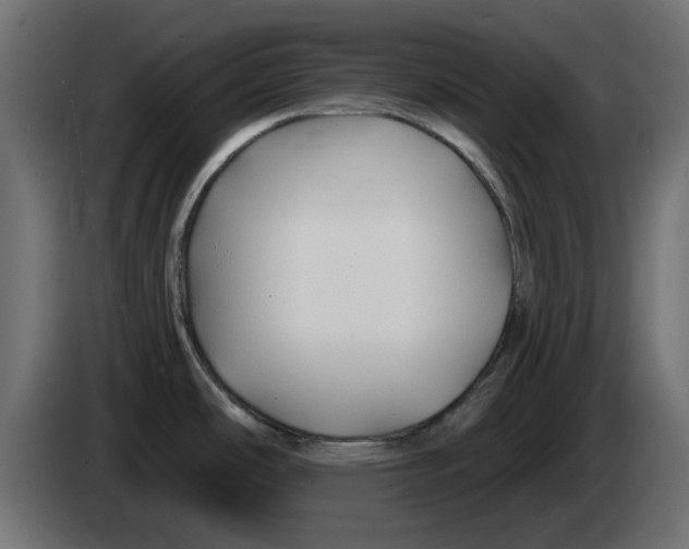 X0000083021486200703021951