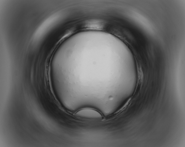 X0000083021487200703021951