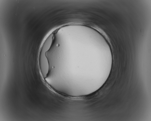 X0000083021488200703021951