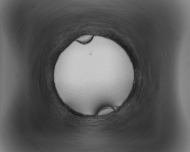 X0000083021489200703021951