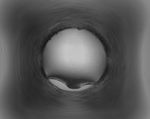 X0000083021490200703021951