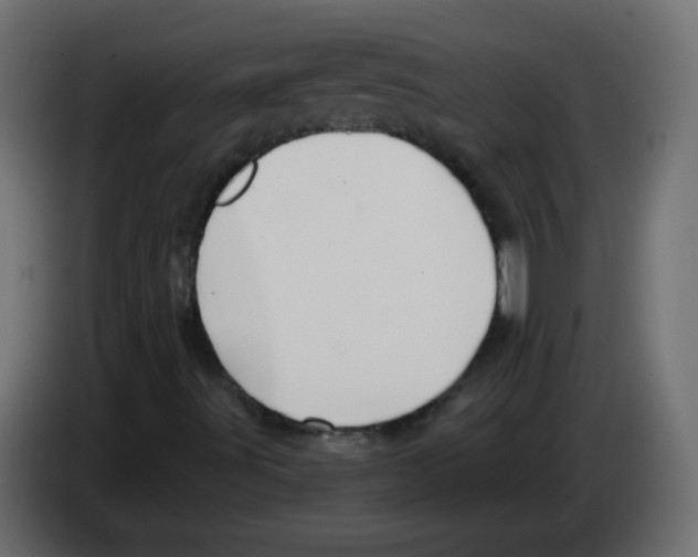 X0000083021491200703021951