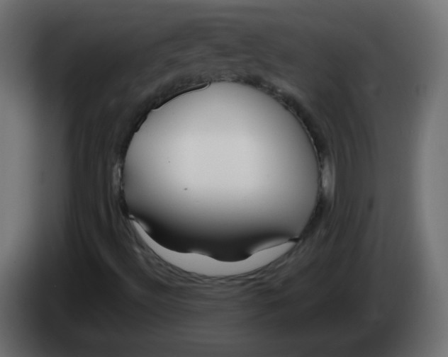 X0000083021492200703021951