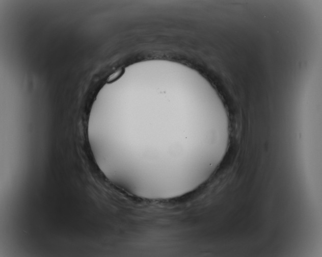 X0000083021493200703021951