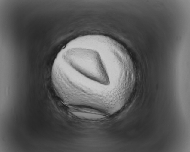 X0000083021494200703021951