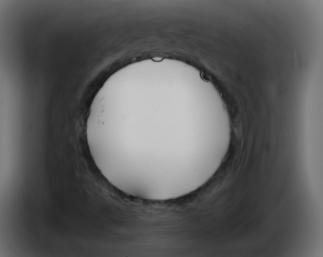 X0000083021495200703021951