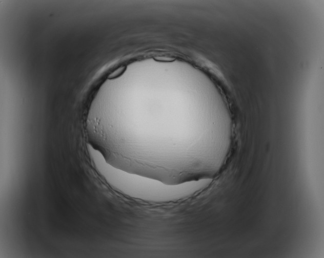 X0000083021496200703021951