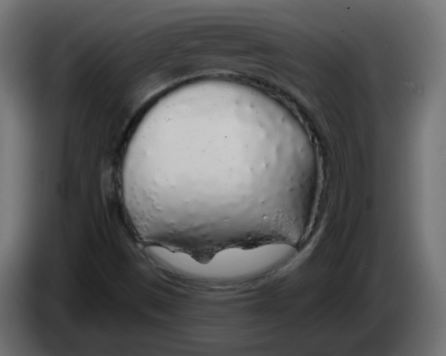 X0000083021497200703021951