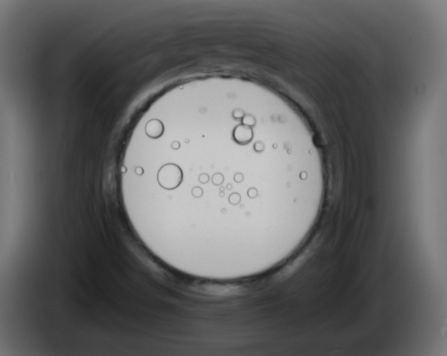 X0000083021498200703021951