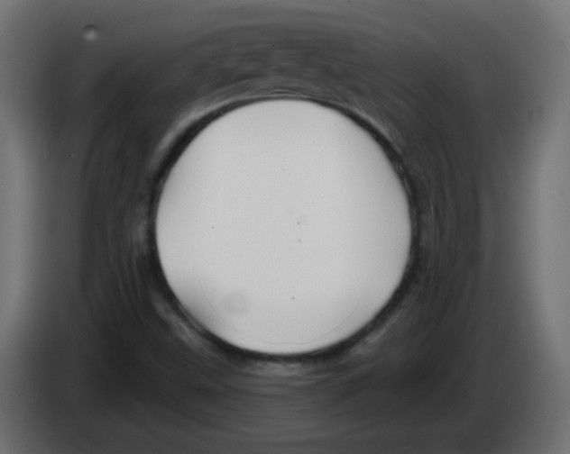 X0000083021499200703021951