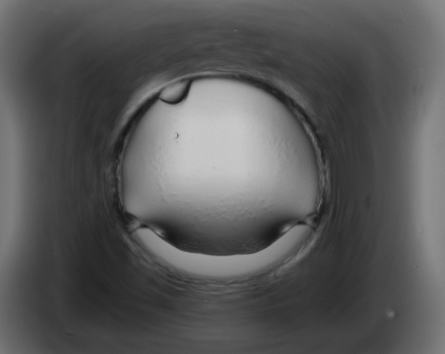 X0000083021501200703021951