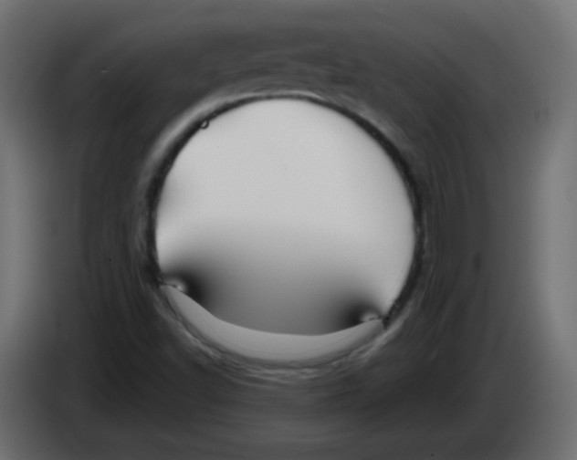 X0000083021502200703021951