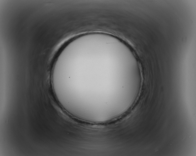 X0000083021503200703021951