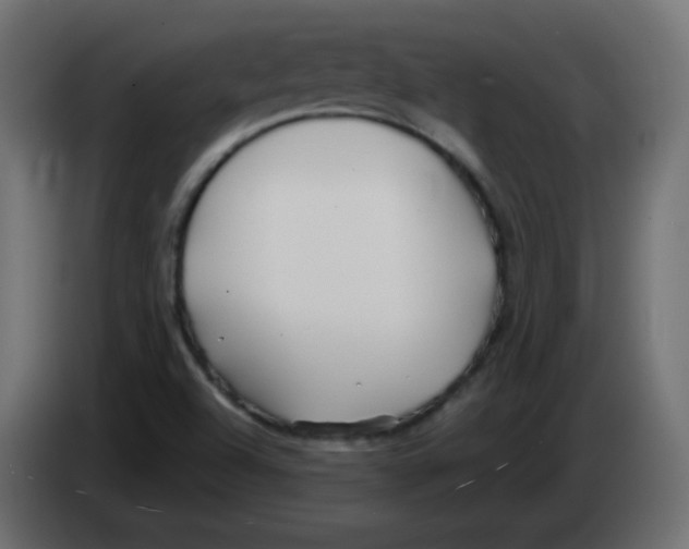 X0000083021504200703021951