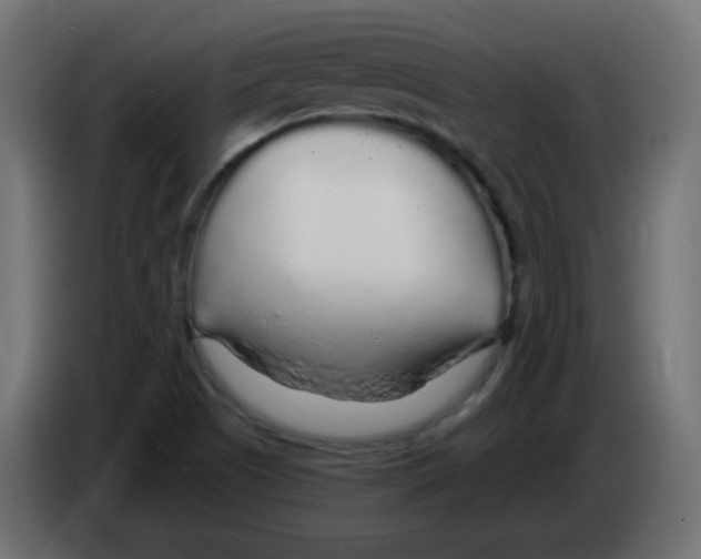 X0000083021505200703021951