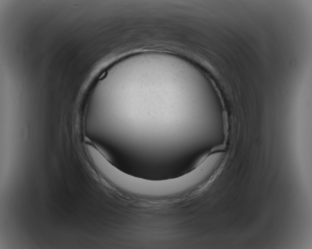 X0000083021506200703021951