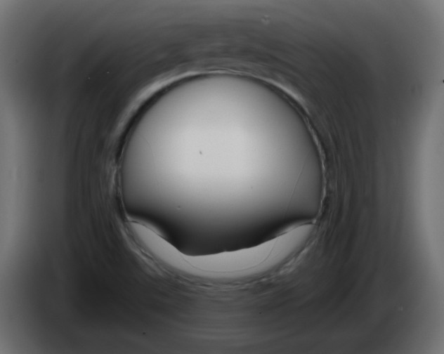 X0000083021507200703021951