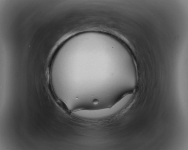 X0000083021509200703021951